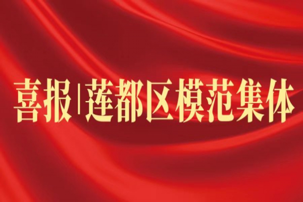 喜報丨浙江中立建設榮獲蓮都區“模范集體”稱號！